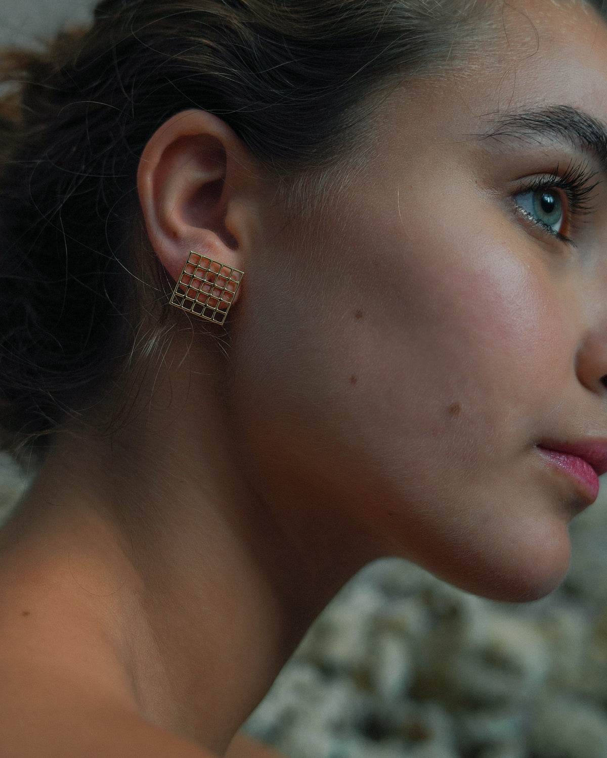 Pair of Square Net Earrings 