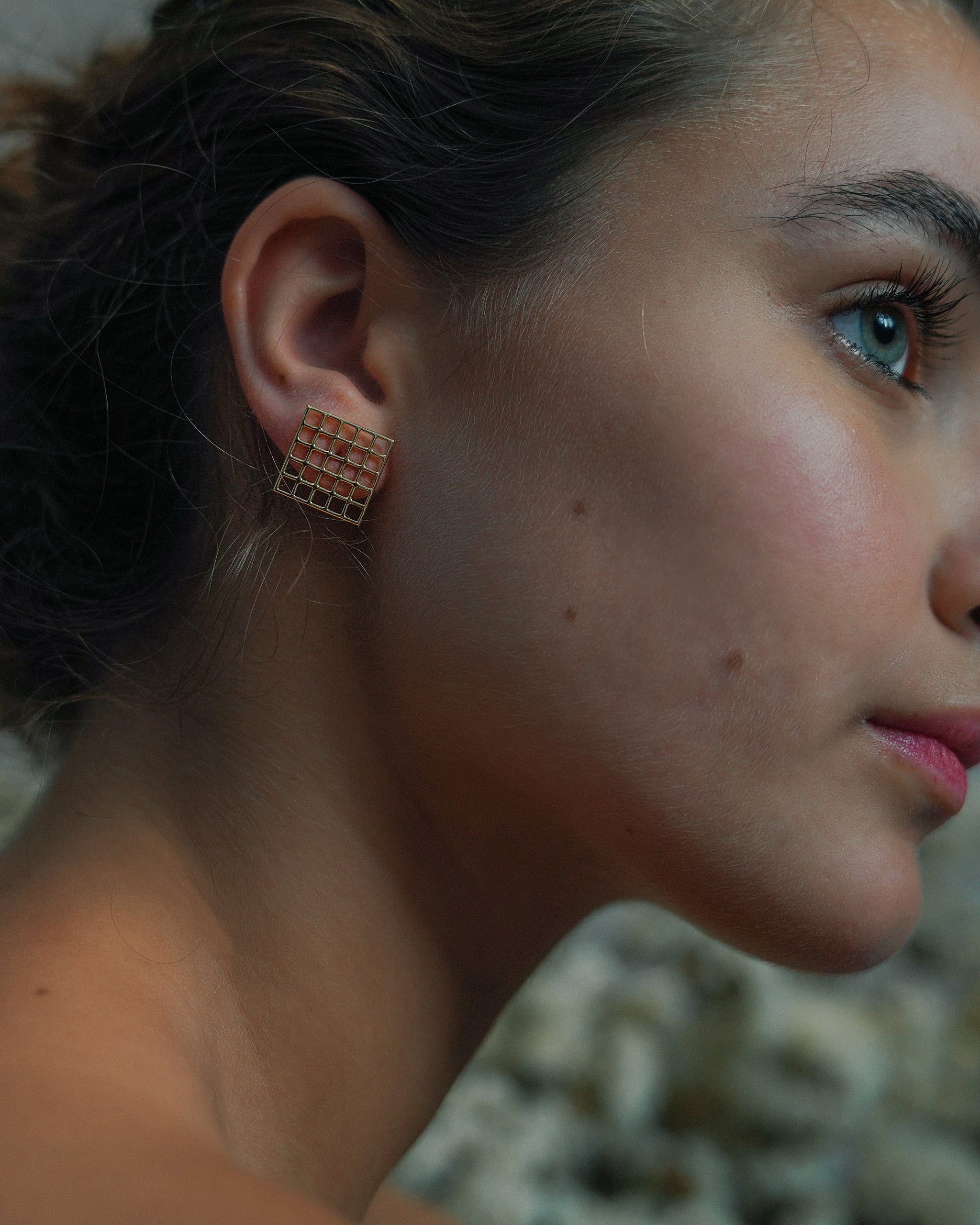 Pair of Square Net Earrings 