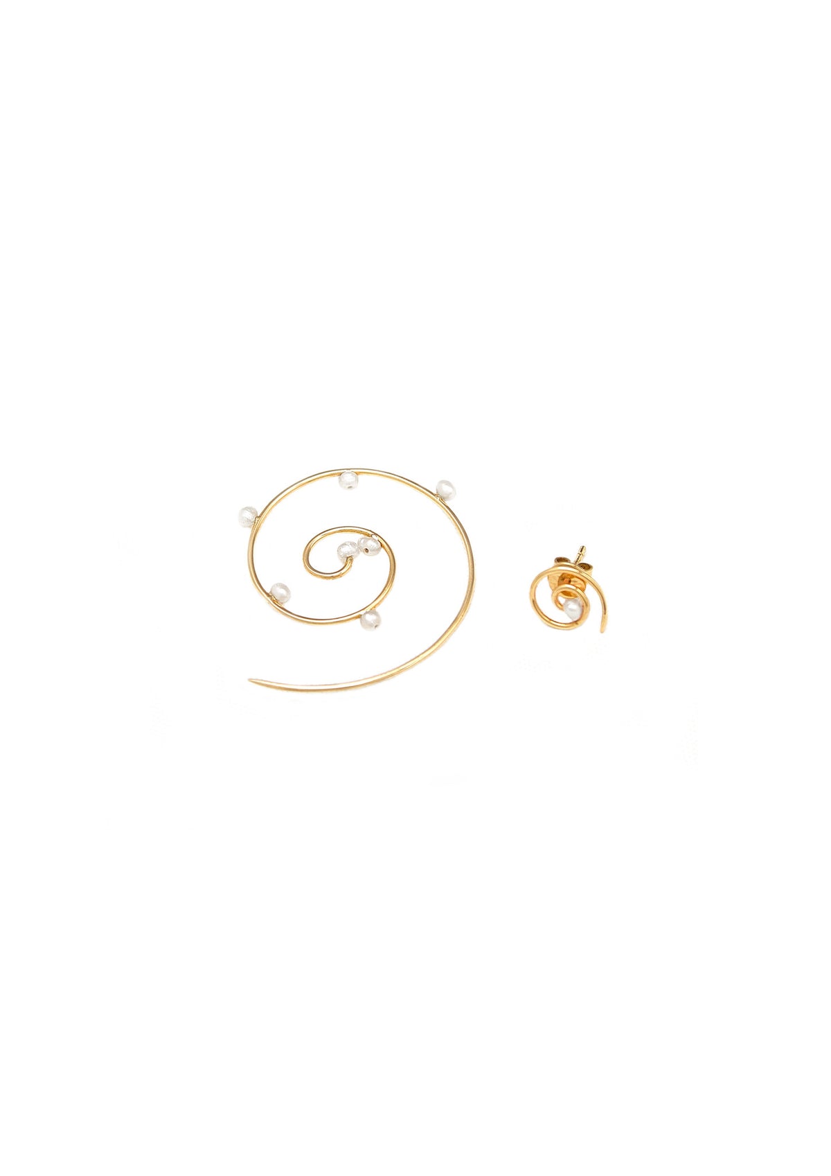 Dew on Tendril - Spirals